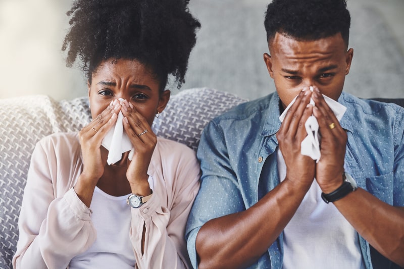 5 Ways Indoor Air Pollution Affects Your Allergies in Crestwood, MO