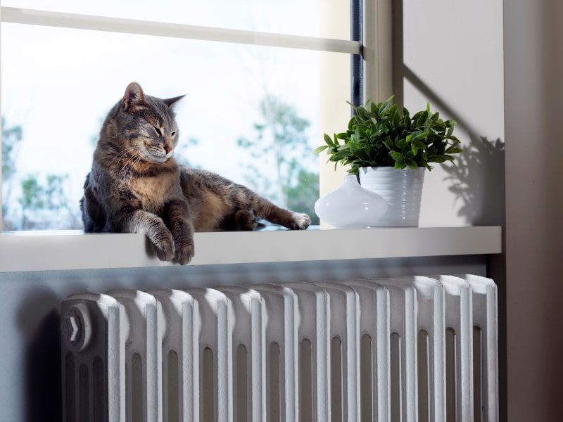 How Can Pet Owners Maintain HVAC Systems in St. Louis, MO?